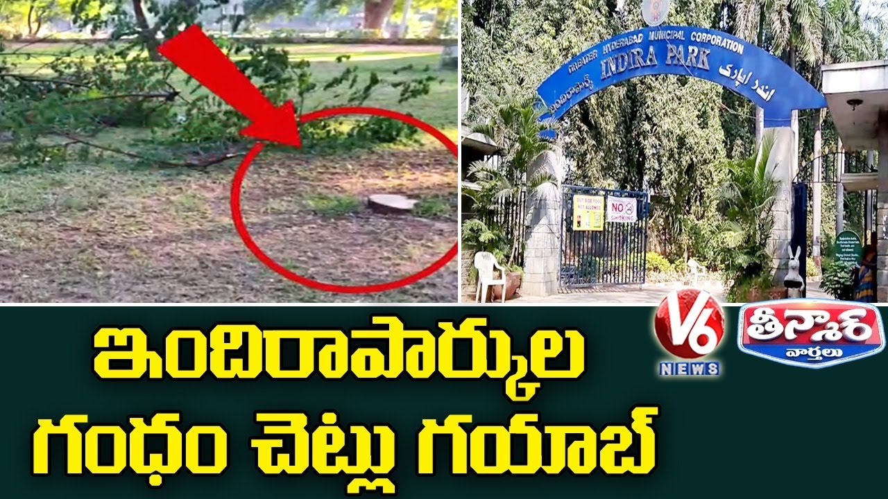 Sandalwood Trees Go Missing From Indira Park, Hyderabad | V6 Teenmaar News