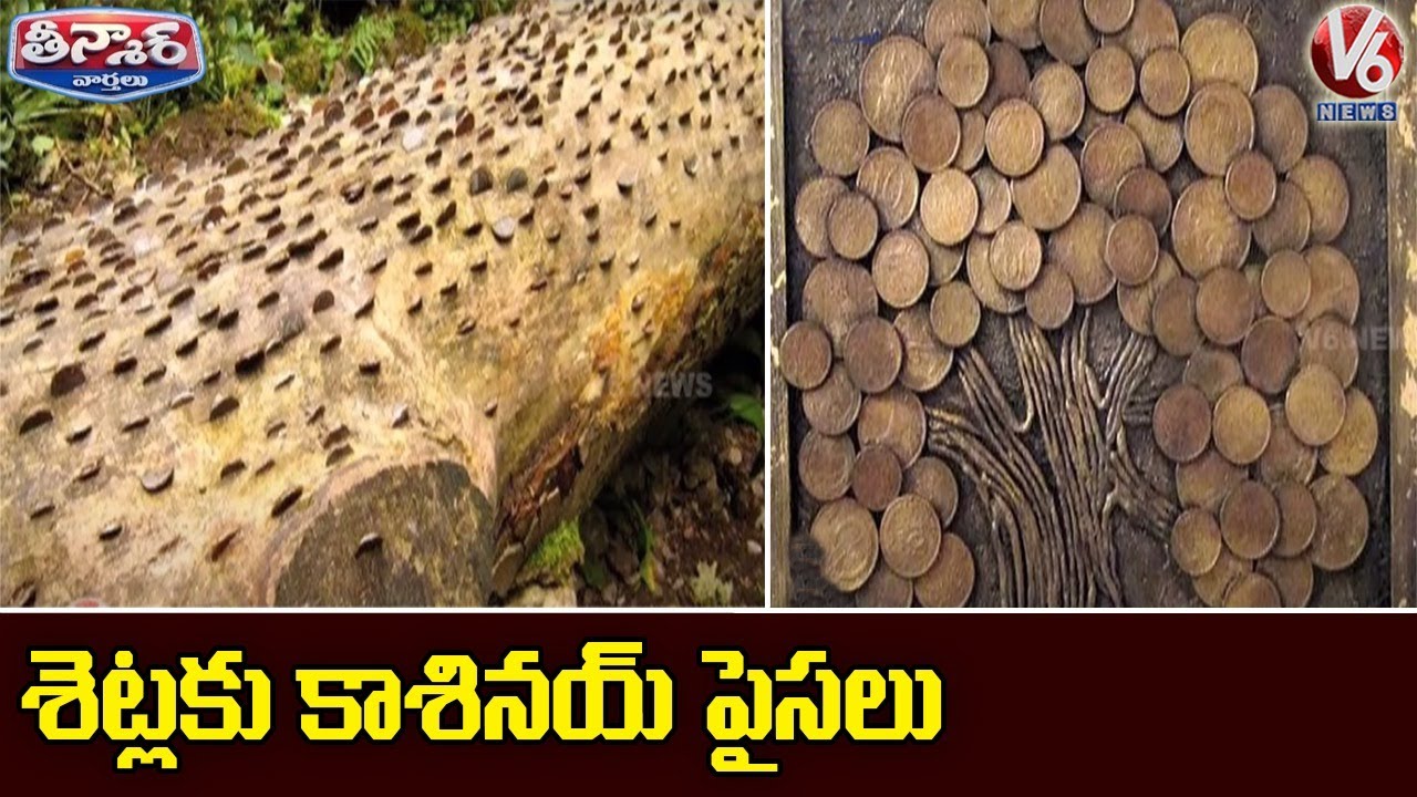 The Mystery Behind The Money Trees Of England | V6 Teenmaar News