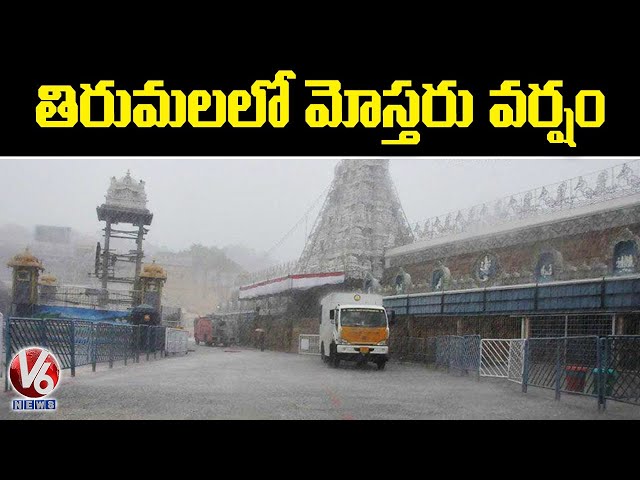 Rain in Tirupati | V6 News