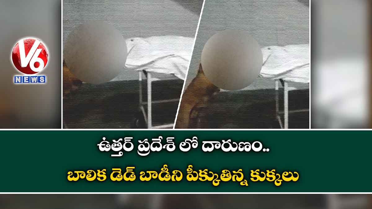 ఉత్తర్ ప్రదేశ్ లో దారుణం.. బాలిక డెడ్ బాడీని పీక్కుతిన్న కుక్కలు