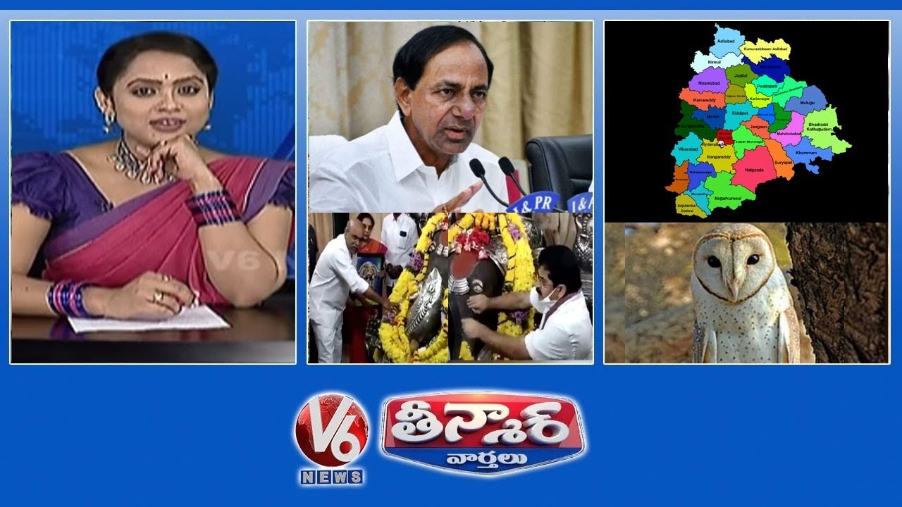 MLAs Pledge On Corruption | CM KCR-Pending Jobs | Jammikunta Municipality | V6 Teenmaar News