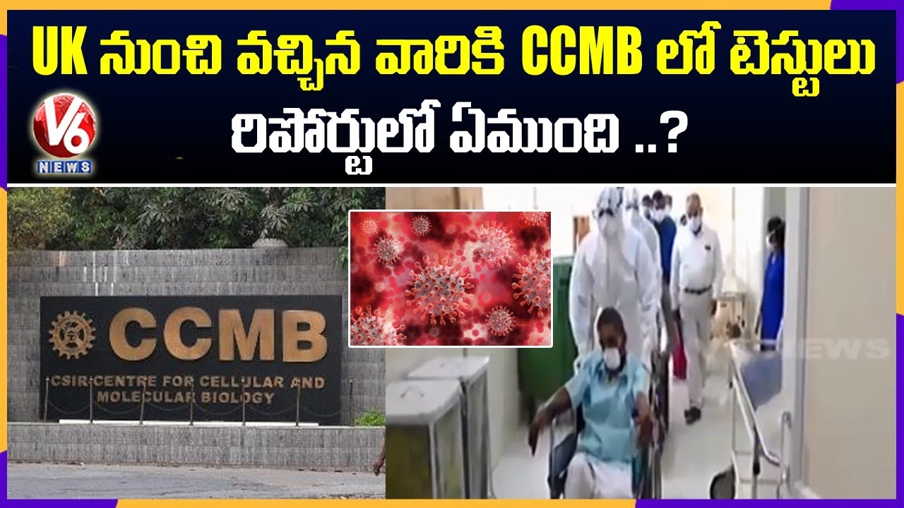 TS Health Dept Holds Review On CCMB Report On Corona Strain | V6 News