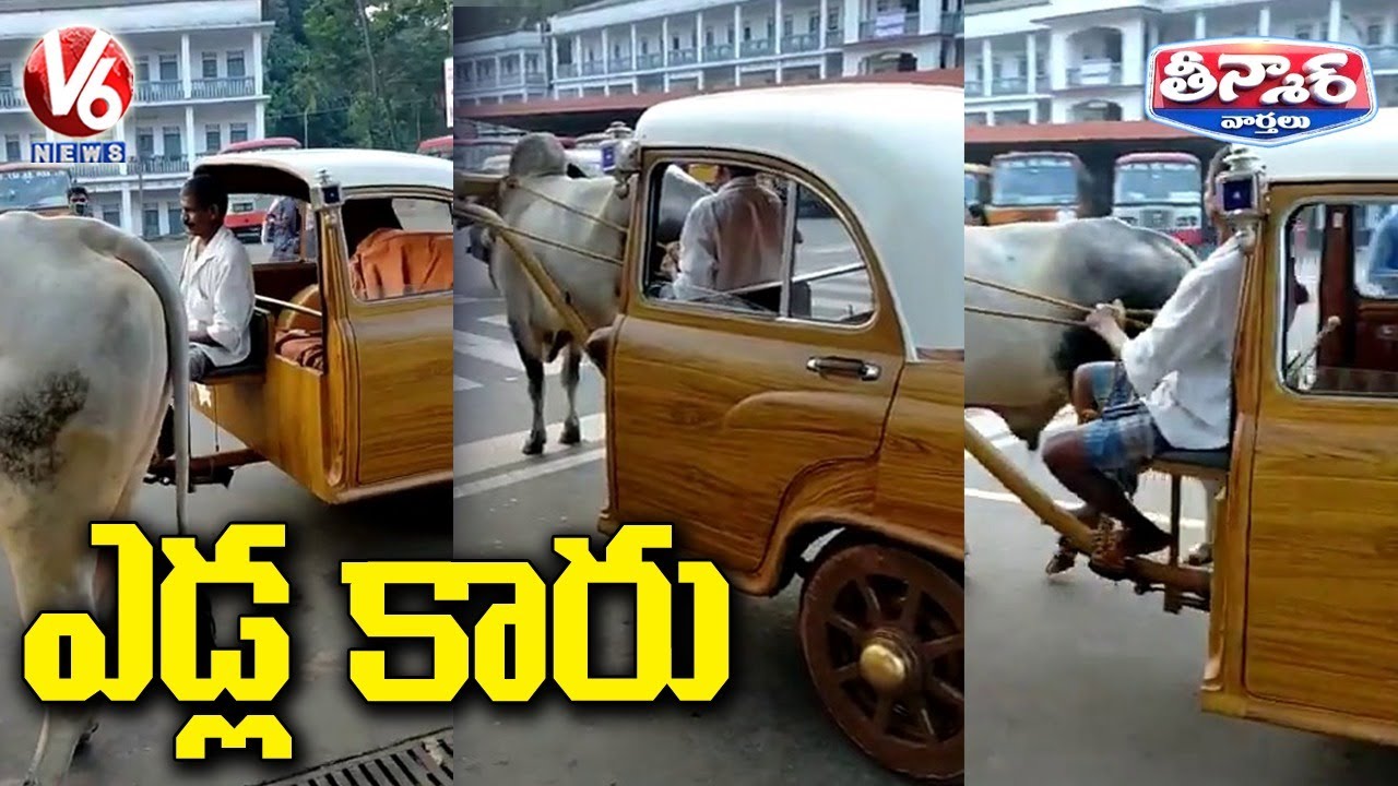 Viral Video Of Bullock Cart With Car Cabin | V6 Teenmaar News