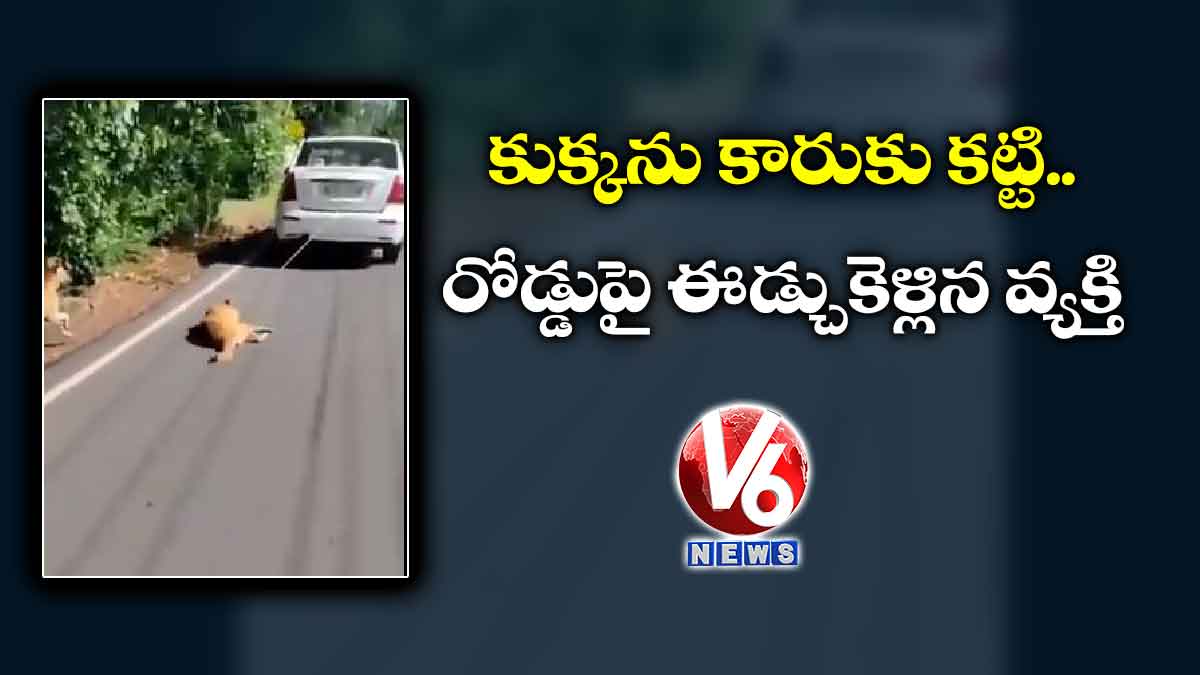 కుక్కను కారుకు కట్టి.. రోడ్డుపై ఈడ్చుకెళ్లిన వ్యక్తి