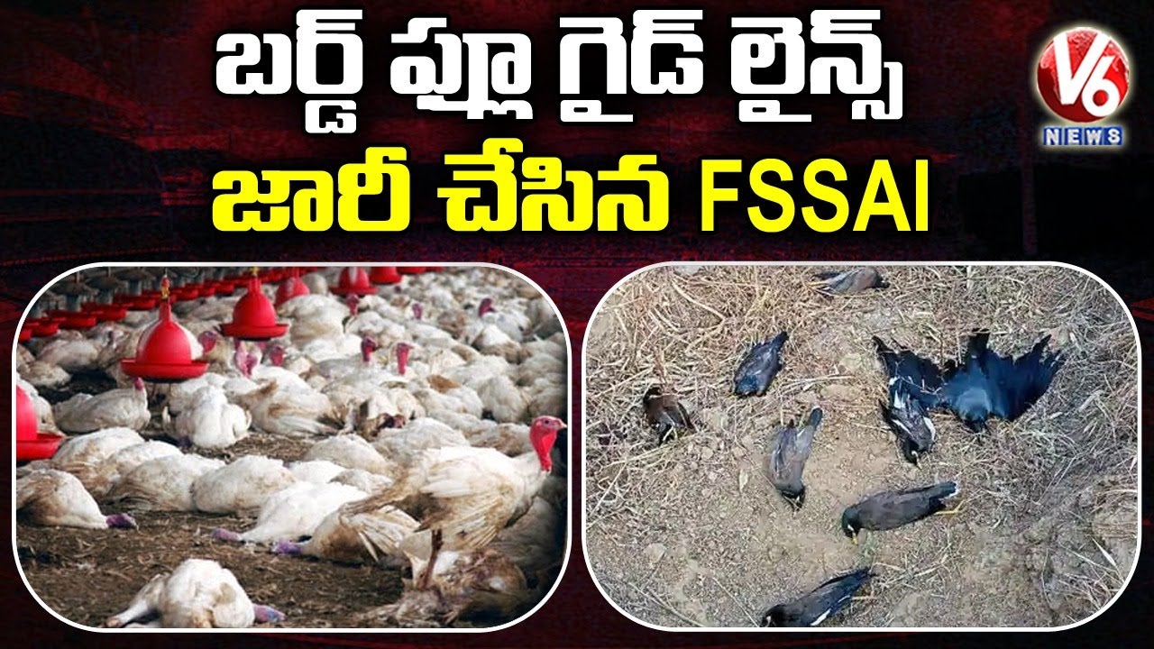 Bird Flu Outbreak: FSSAI Releases Guidelines | V6 News