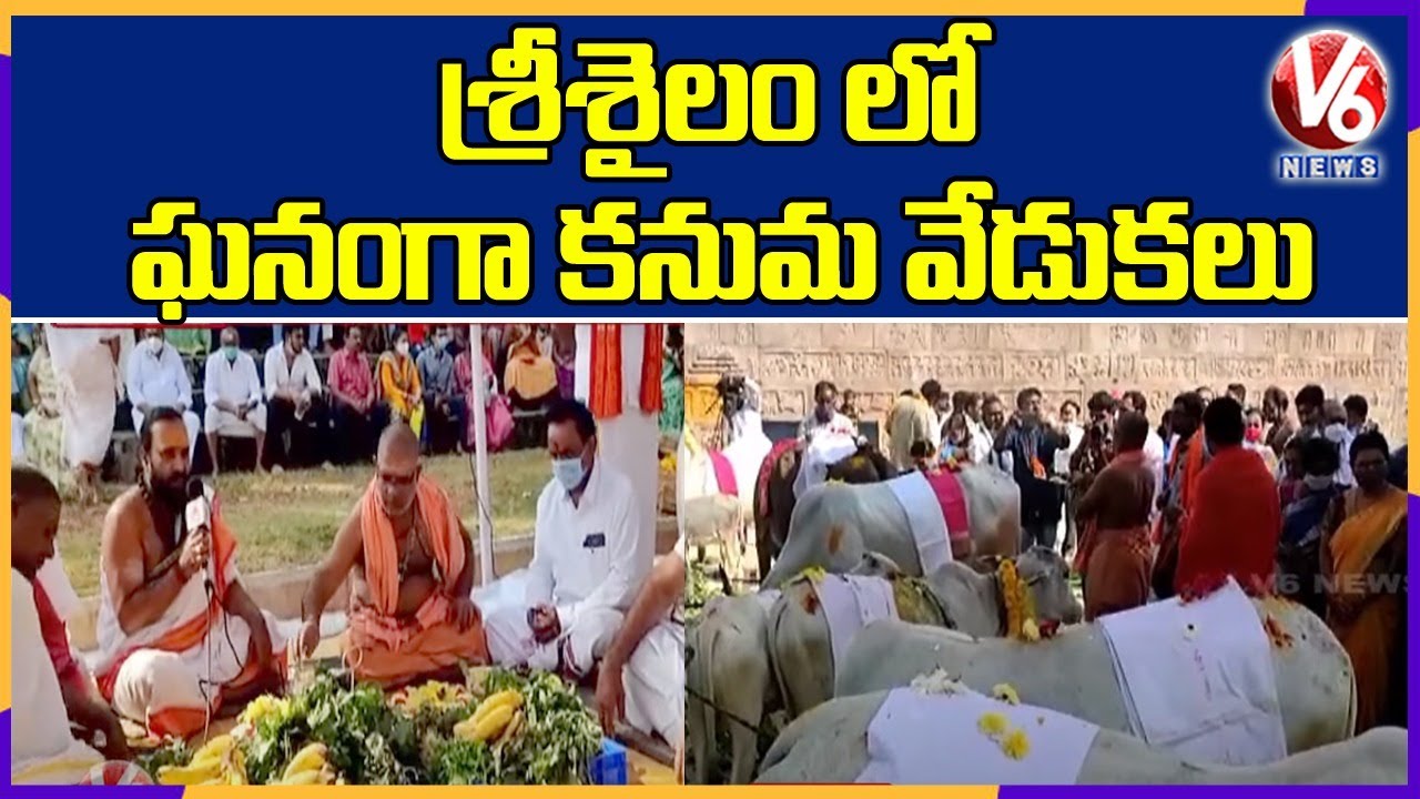 Kanuma Celebrations In Srisailam Temple | V6 News