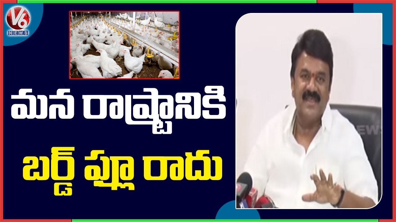 Minister Talasani Srinivas Yadav Speaks On Bird Flu | V6 News