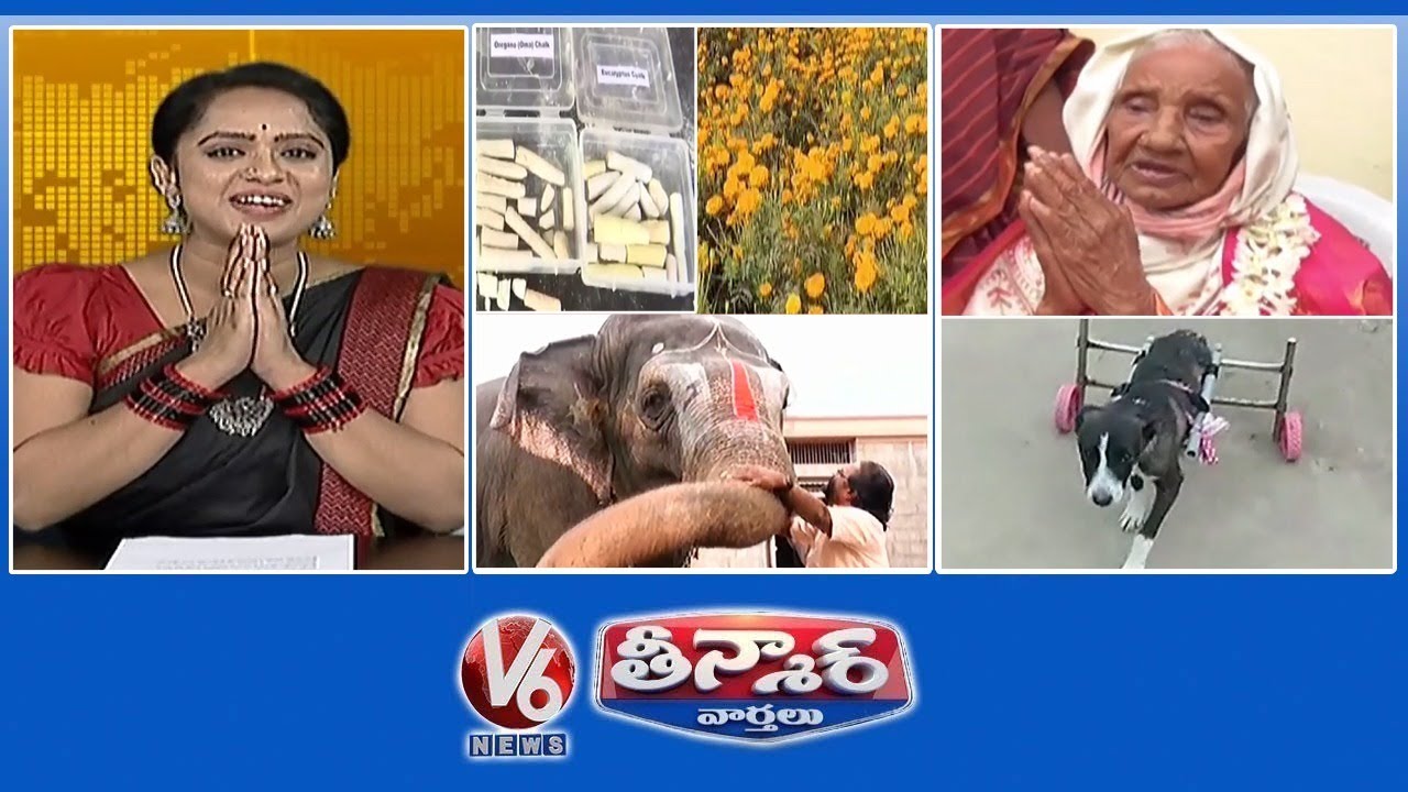 Multi Crop In TS | Old Woman Celebrates 121st Birthday | Elephant-Human Language | V6 Teenmaar News