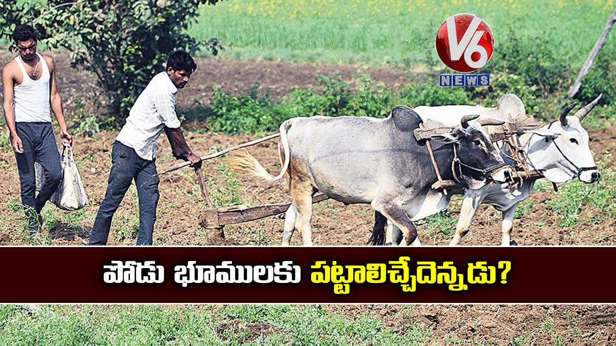 పోడు భూములకు పట్టాలిచ్చేదెన్నడు?