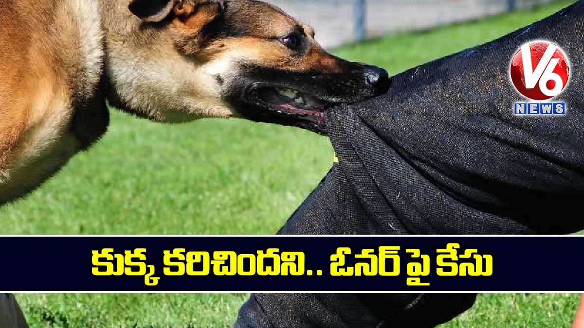 కుక్క కరిచిందని.. ఓనర్ పై కేసు
