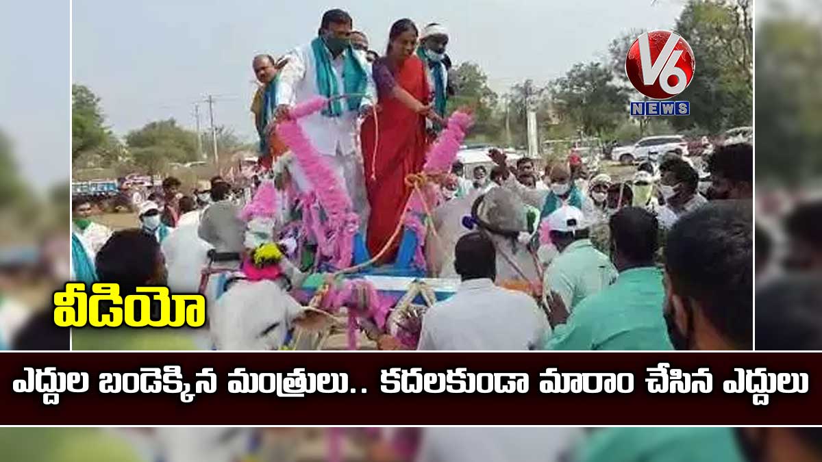 వీడియో: ఎద్దుల బండెక్కిన మంత్రులు.. కదలకుండా మారాం చేసిన ఎద్దులు