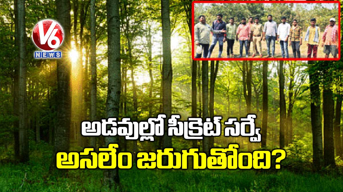 అడవుల్లో సీక్రెట్​ సర్వే.. అసలేం జరుగుతోంది?