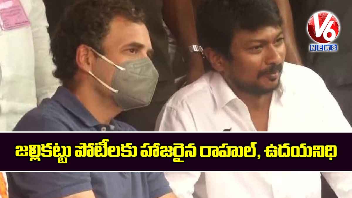 జల్లికట్టు పోటీలకు హాజరైన రాహుల్, ఉదయనిధి