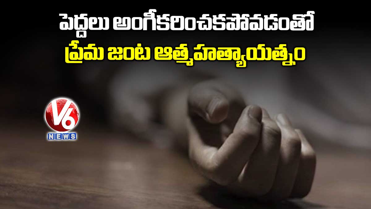 పెద్దలు అంగీకరించకపోవడంతో ప్రేమ జంట ఆత్మహత్యాయత్నం