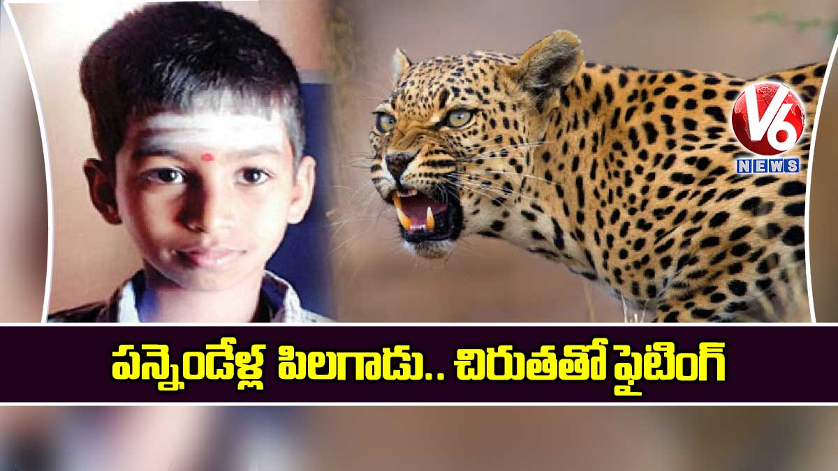 పన్నెండేళ్ల  పిలగాడు.. చిరుతతో ఫైటింగ్