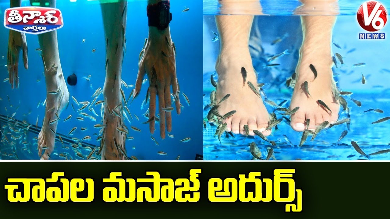 Adilabad People Enjoying Fish Massage | V6 Teenmaar News