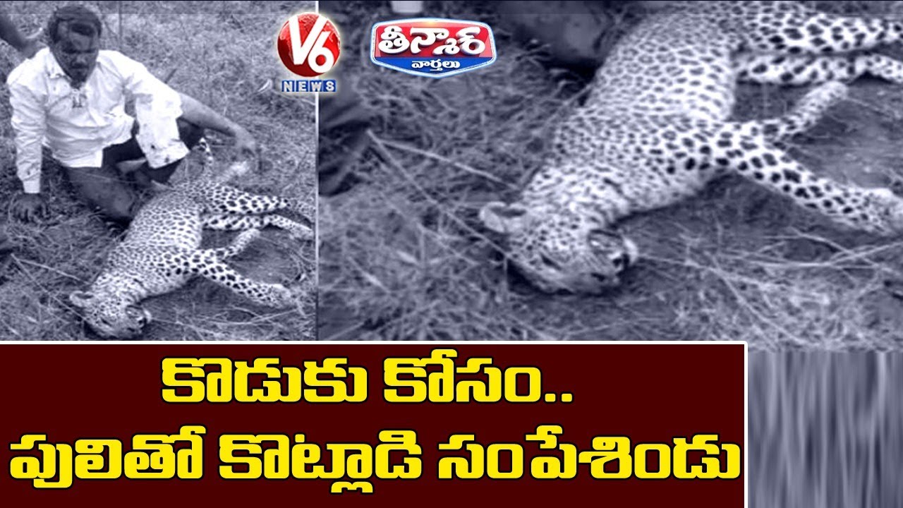 Karnataka Man Fight With Leopard | V6 Teenmaar News