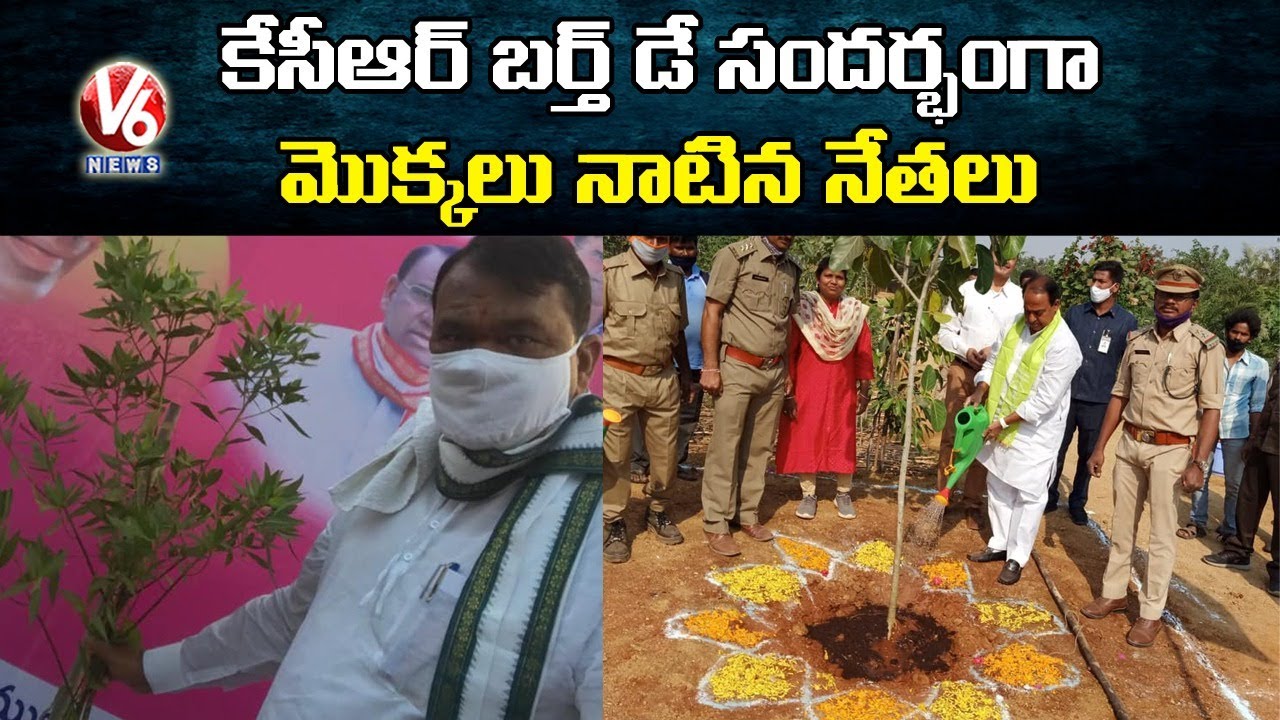 Minister Indra Karan Reddy And Speaker Pocharam Plant Saplings Occasion Of CM KCR Birthday | V6 News