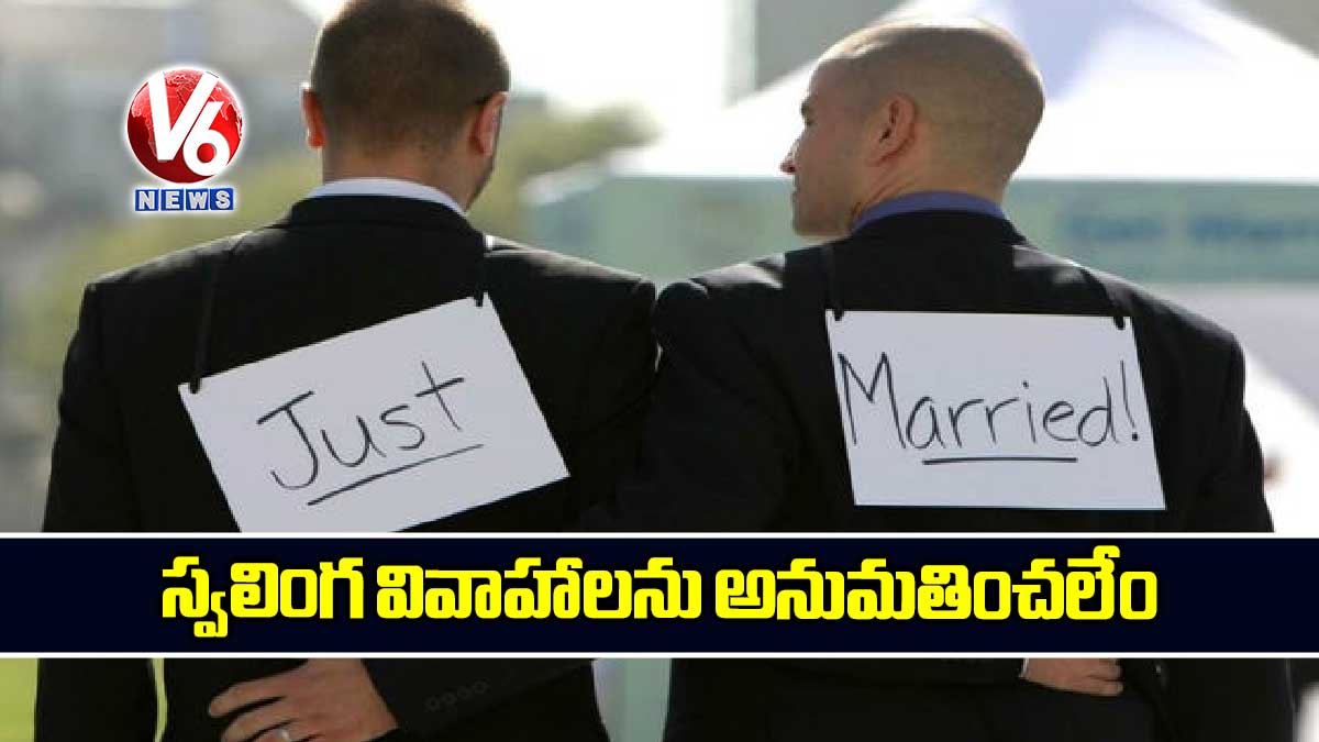 స్వలింగ వివాహాలను అనుమతించలేం