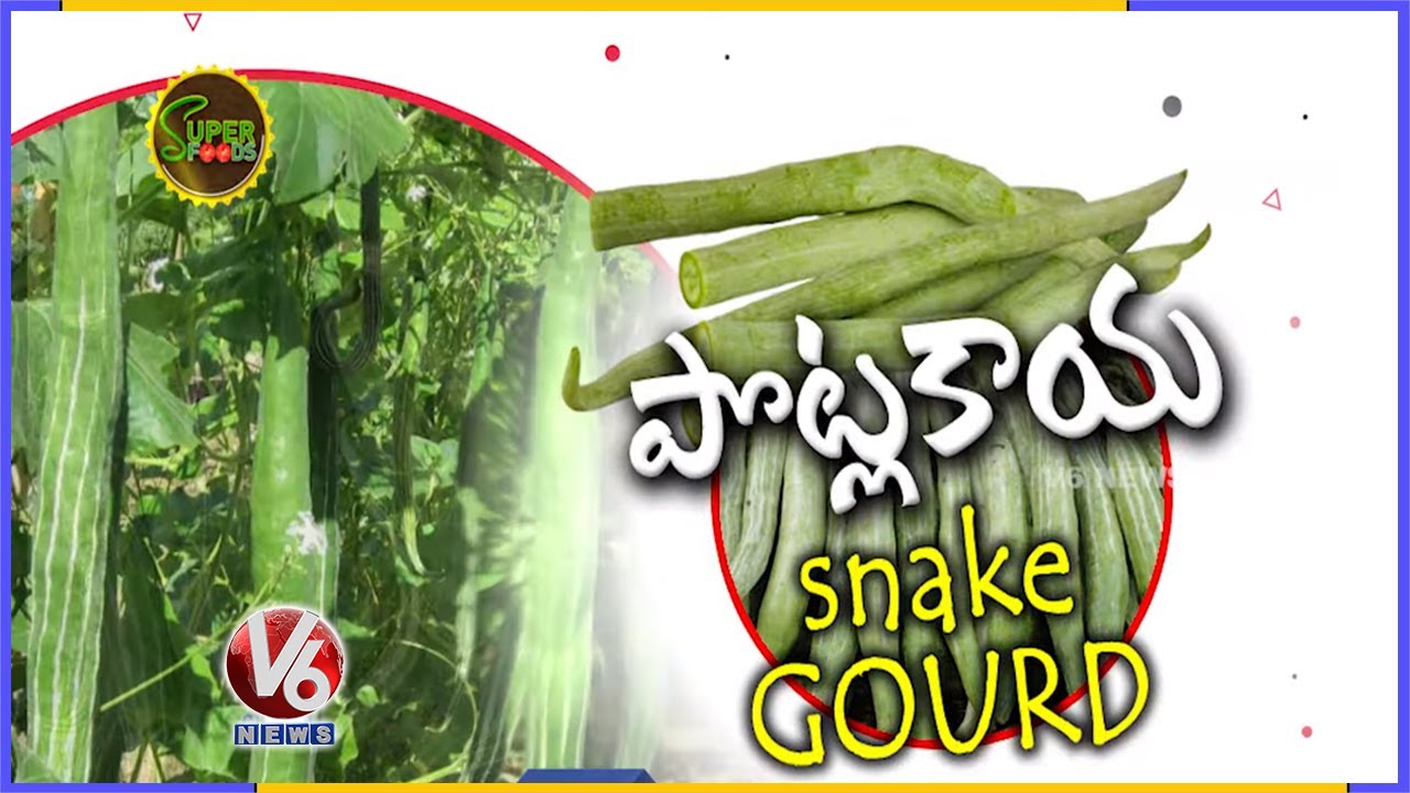 Health Benefits Of Snake Gourd | Super Food | V6 News