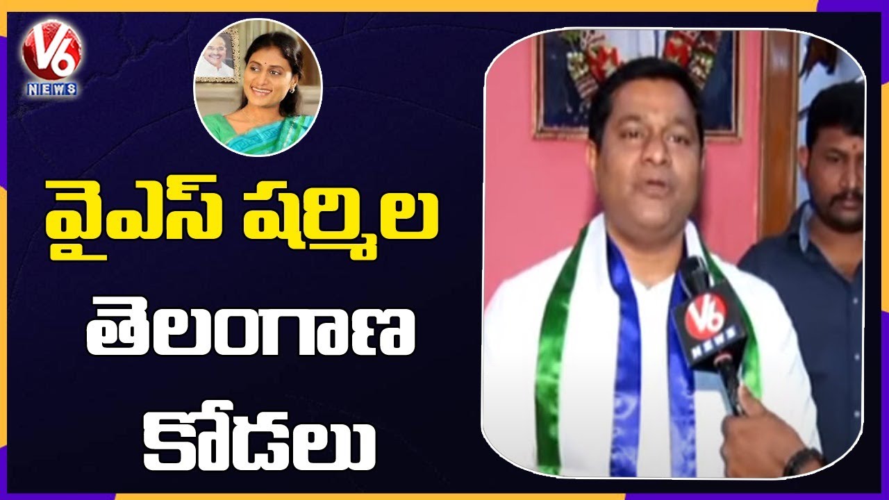 YSRCP Leader Vellala Ram Mohan Face To Face Over YS Sharmila New Party | V6 News
