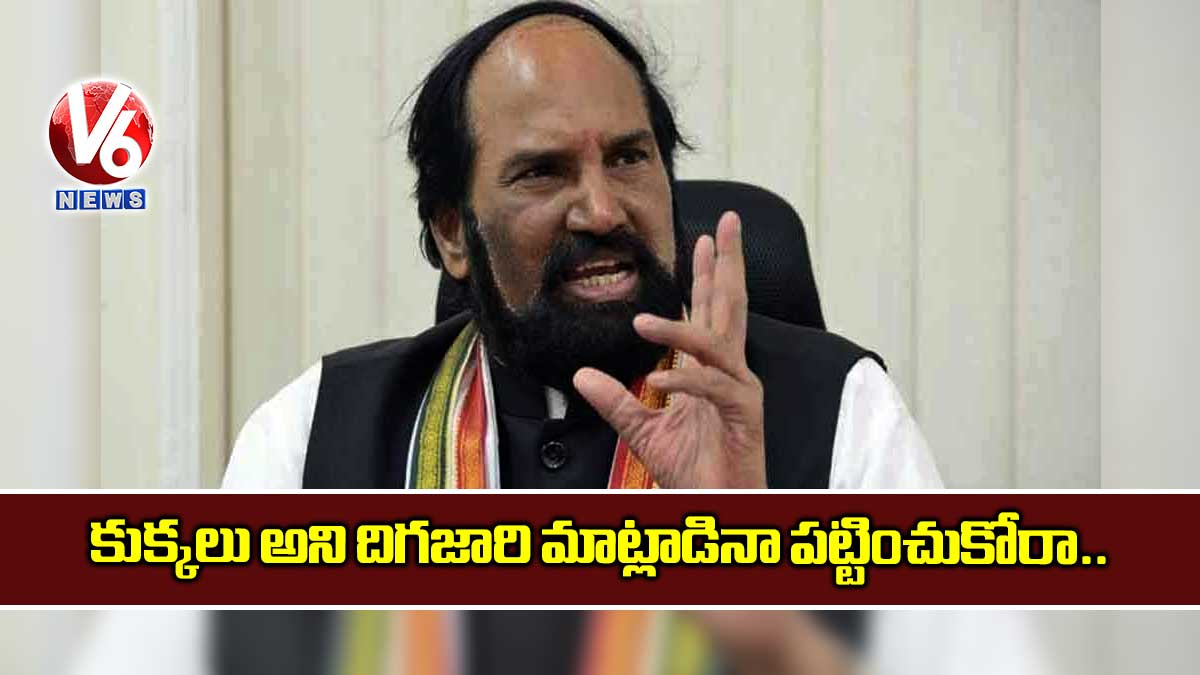 కుక్కలు అని దిగజారి మాట్లాడినా పట్టించుకోరా..