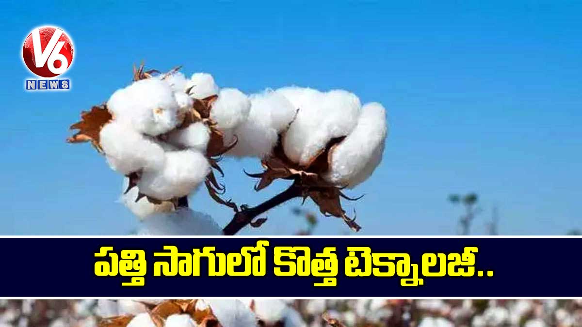 పత్తి సాగులో కొత్త టెక్నాలజీ..