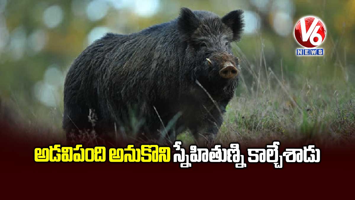 అడవిపంది అనుకొని స్నేహితుణ్ని కాల్చేశాడు