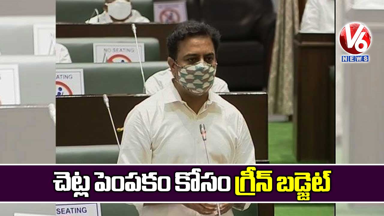 చెట్ల పెంపకం కోసం గ్రీన్ బడ్జెట్