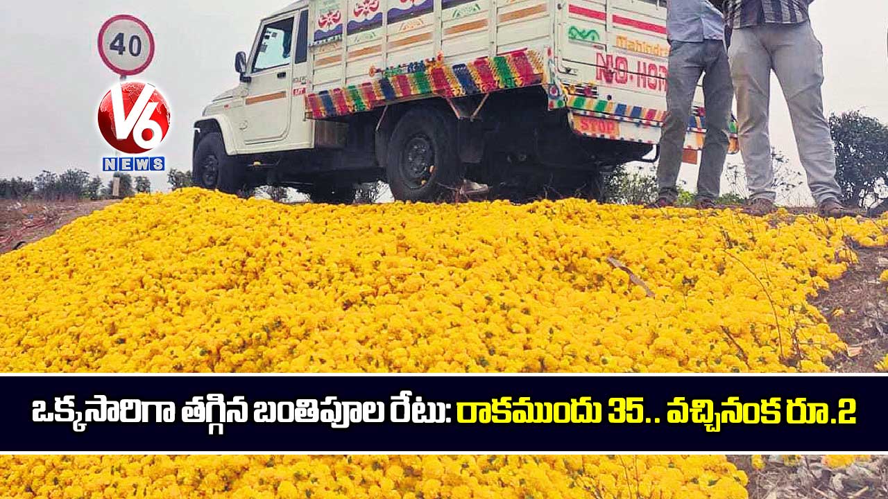 ఒక్కసారిగా తగ్గిన బంతిపూల రేటు: రాకముందు 35.. వచ్చినంక రూ.2