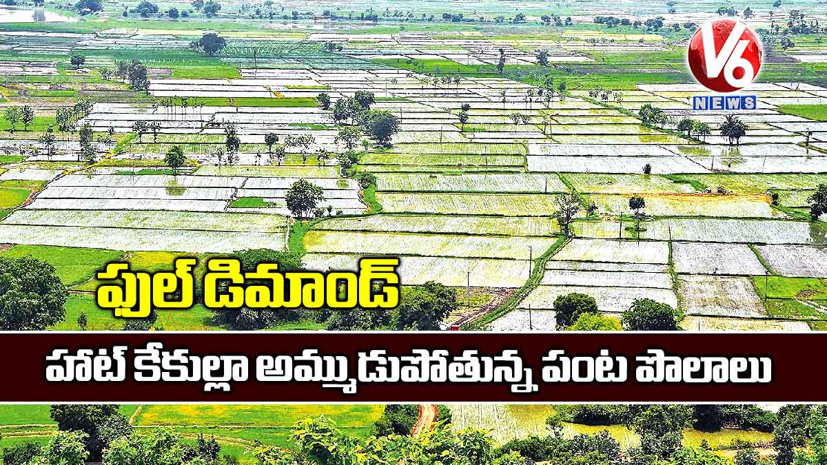 ఫుల్ డిమాండ్ : హాట్ కేకుల్లా అమ్ముడుపోతున్న పంట పొలాలు