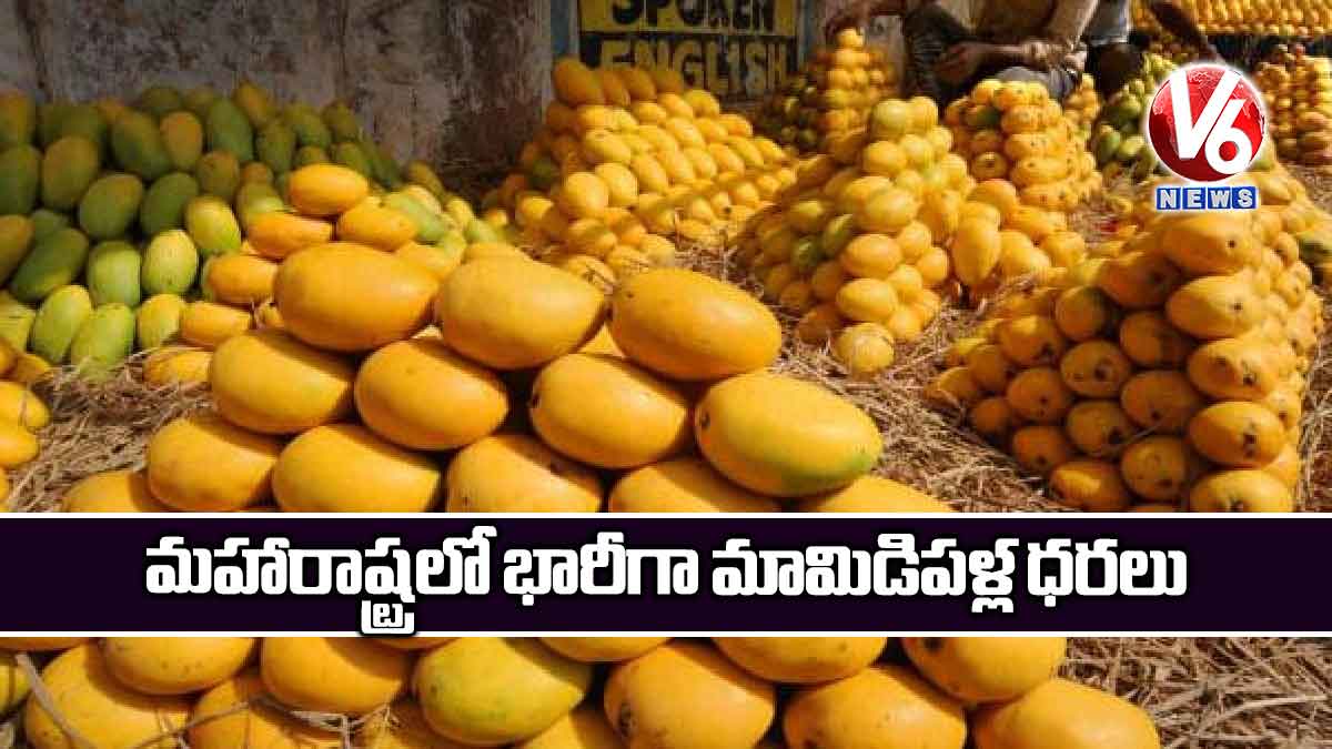 మహారాష్ట్రలో భారీగా మామిడిపళ్ల ధరలు
