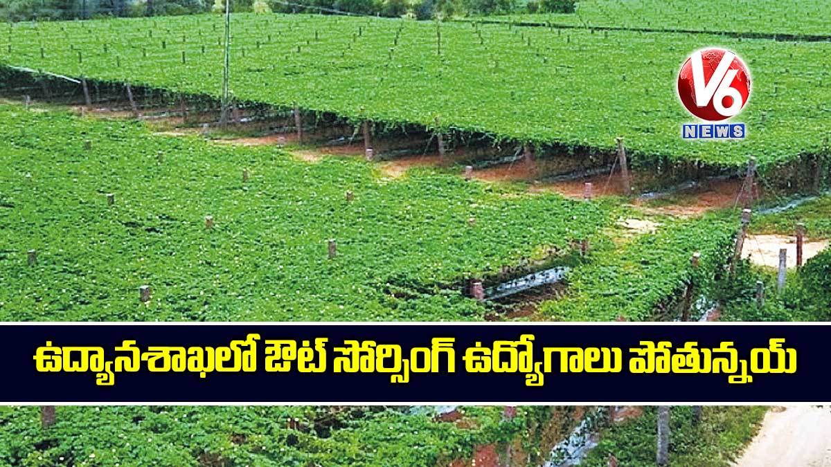 ఉద్యానశాఖలో ఔట్ సోర్సింగ్ ఉద్యోగాలు పోతున్నయ్