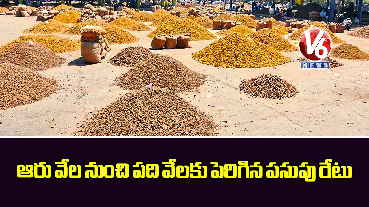 ఆరు వేల నుంచి పది వేలకు పెరిగిన పసుపు రేటు