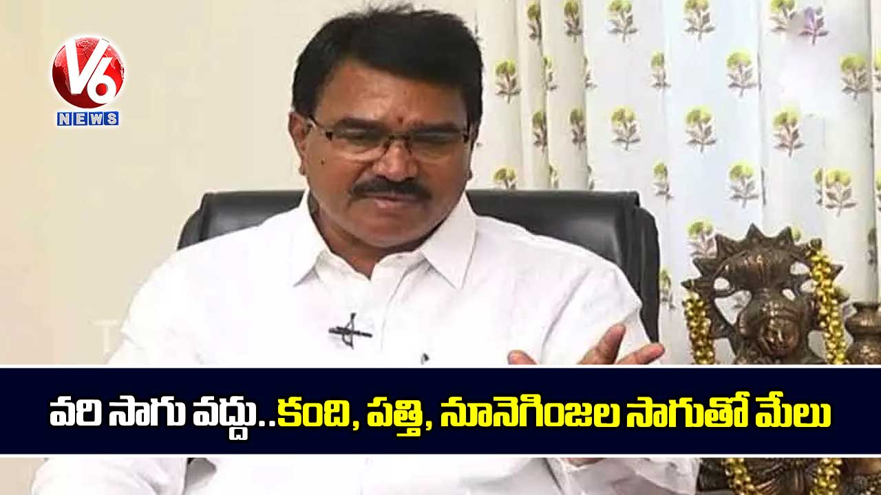 వరి సాగు వద్దు..కంది, పత్తి, నూనెగింజల సాగుతో మేలు