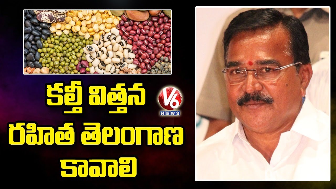 Minister Niranjan Reddy On Fake Seeds Mafia | V6 News