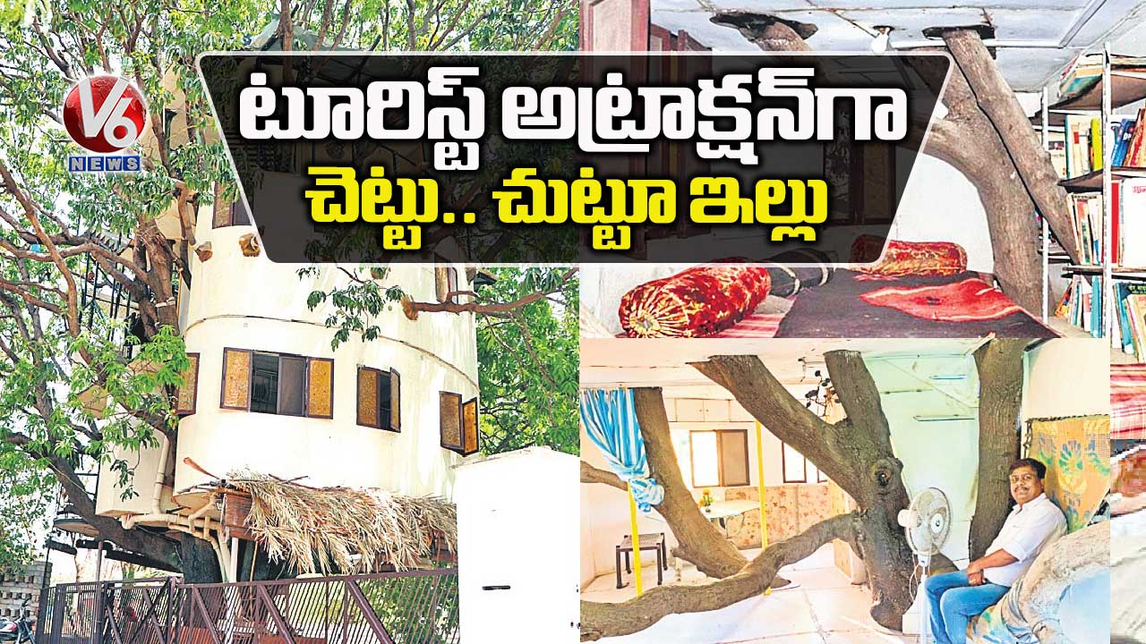 టూరిస్ట్ అట్రాక్షన్ గా.. చెట్టు చుట్టూ ఇల్లు