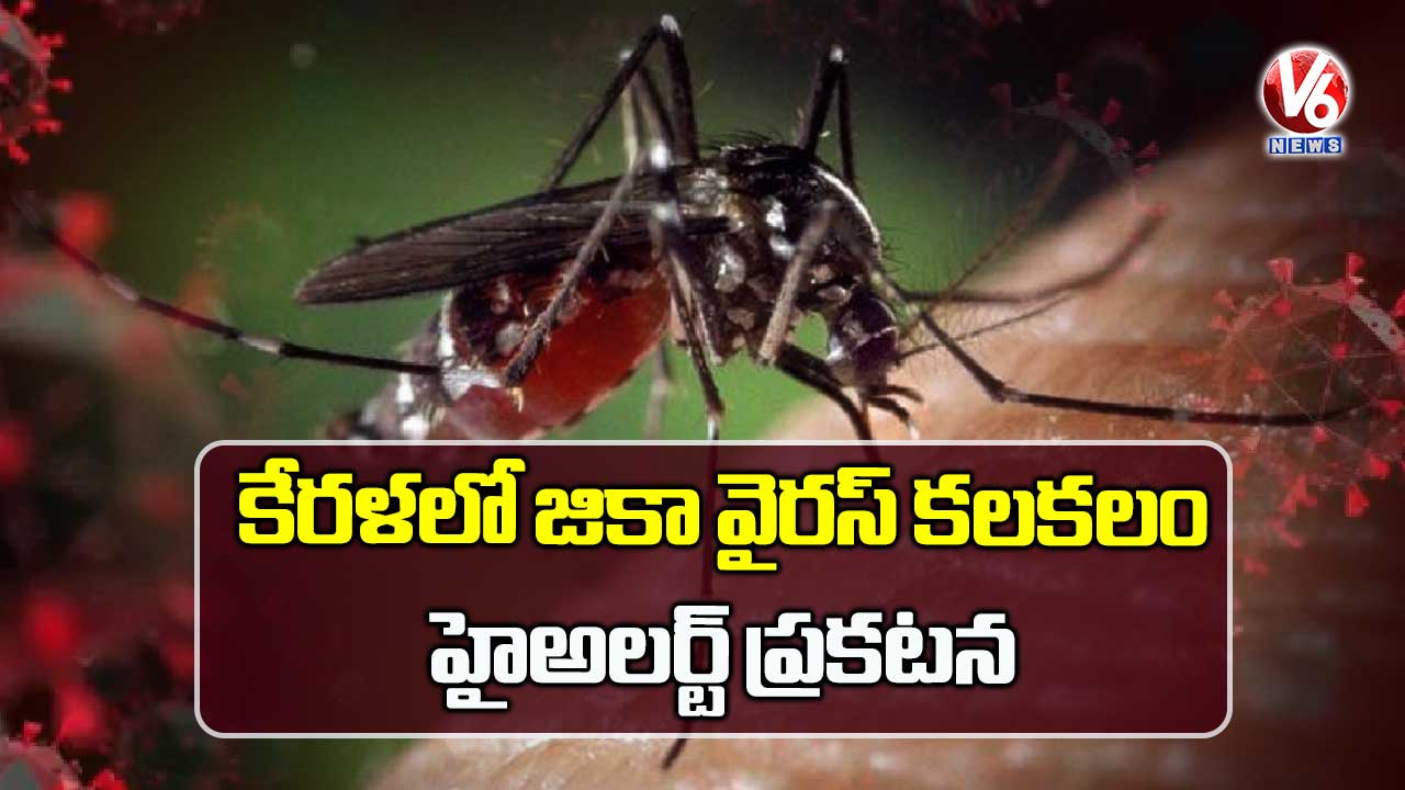 కేరళలో జికా వైరస్ కలకలం: హైఅలర్ట్ ప్రకటన