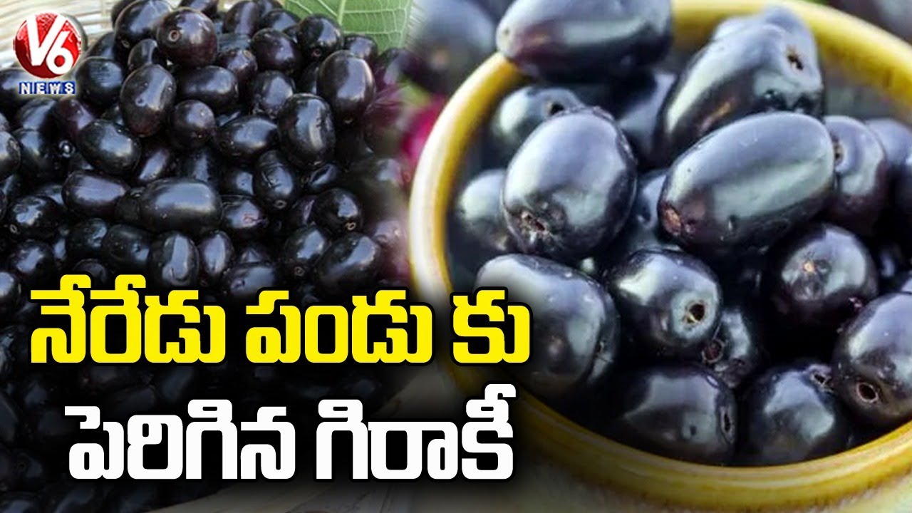 Huge Demand For Jamun Fruits In Hyderabad | Health Benefits Of Black Plum | V6 News