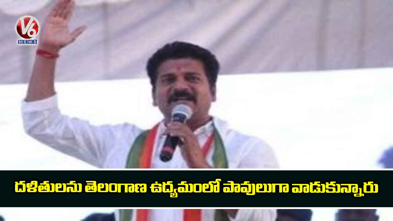 దళితులను తెలంగాణ ఉద్యమంలో పావులుగా వాడుకున్నారు