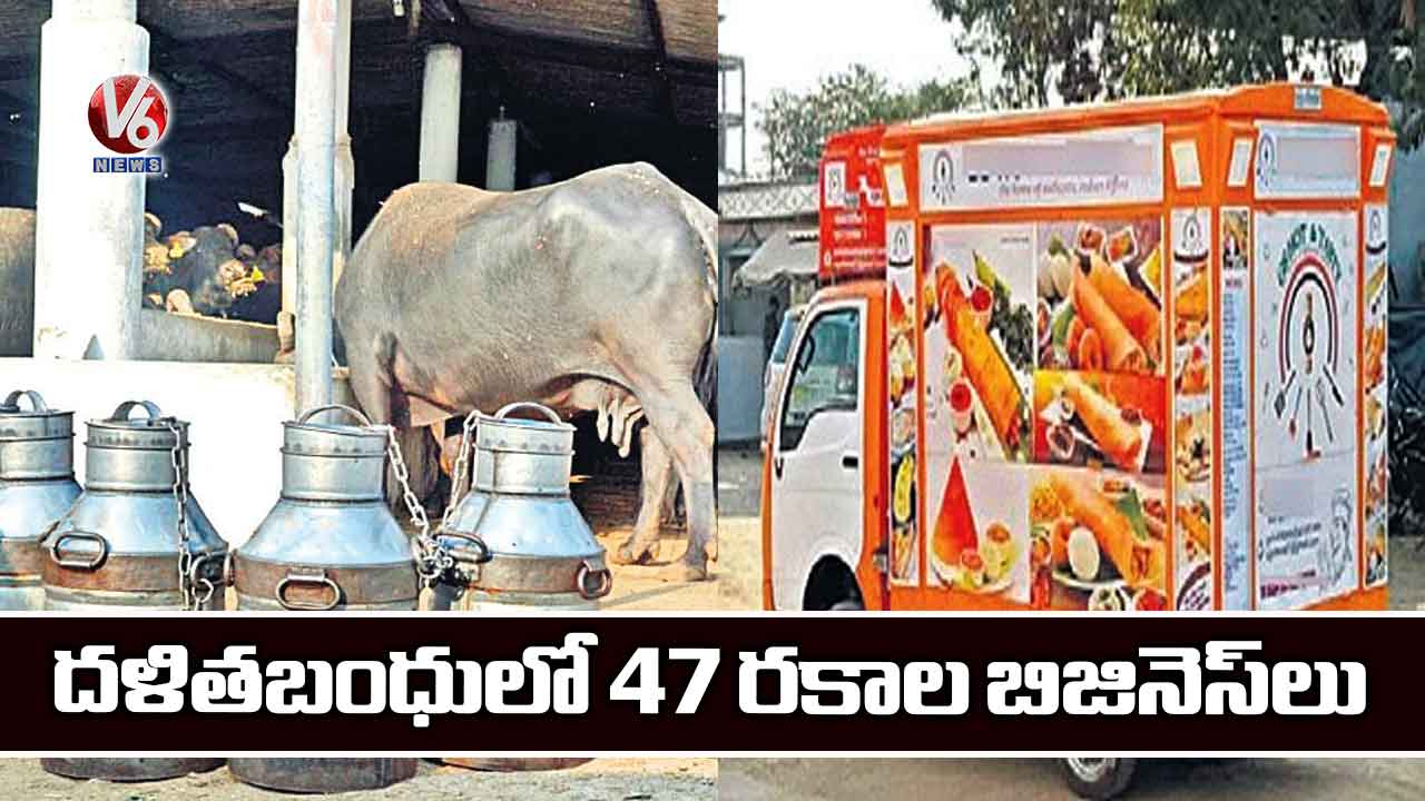 దళితబంధులో 47 రకాల బిజినెస్లు