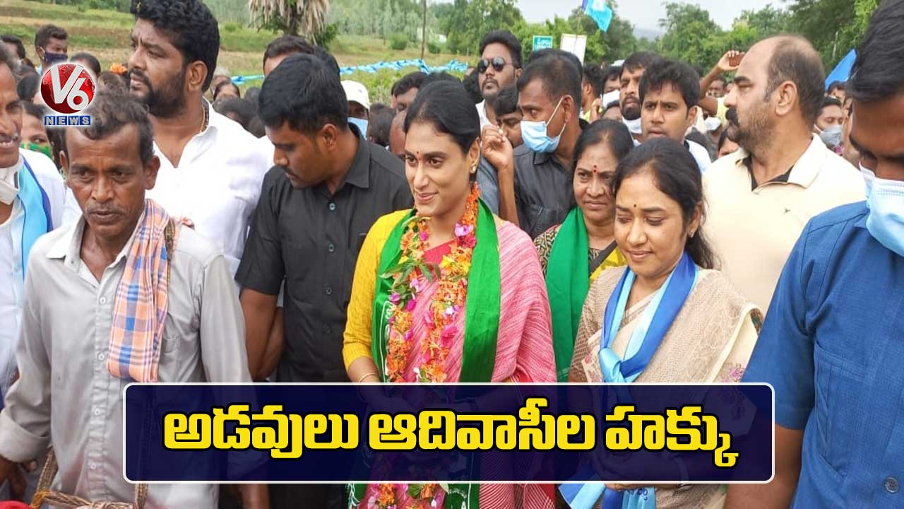 అడవులు ఆదివాసీల హక్కు
