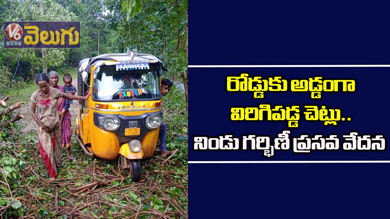 రోడ్డుకు అడ్డంగా విరిగిపడ్డ చెట్లు.. నిండు గర్భిణీ ప్రసవ వేదన