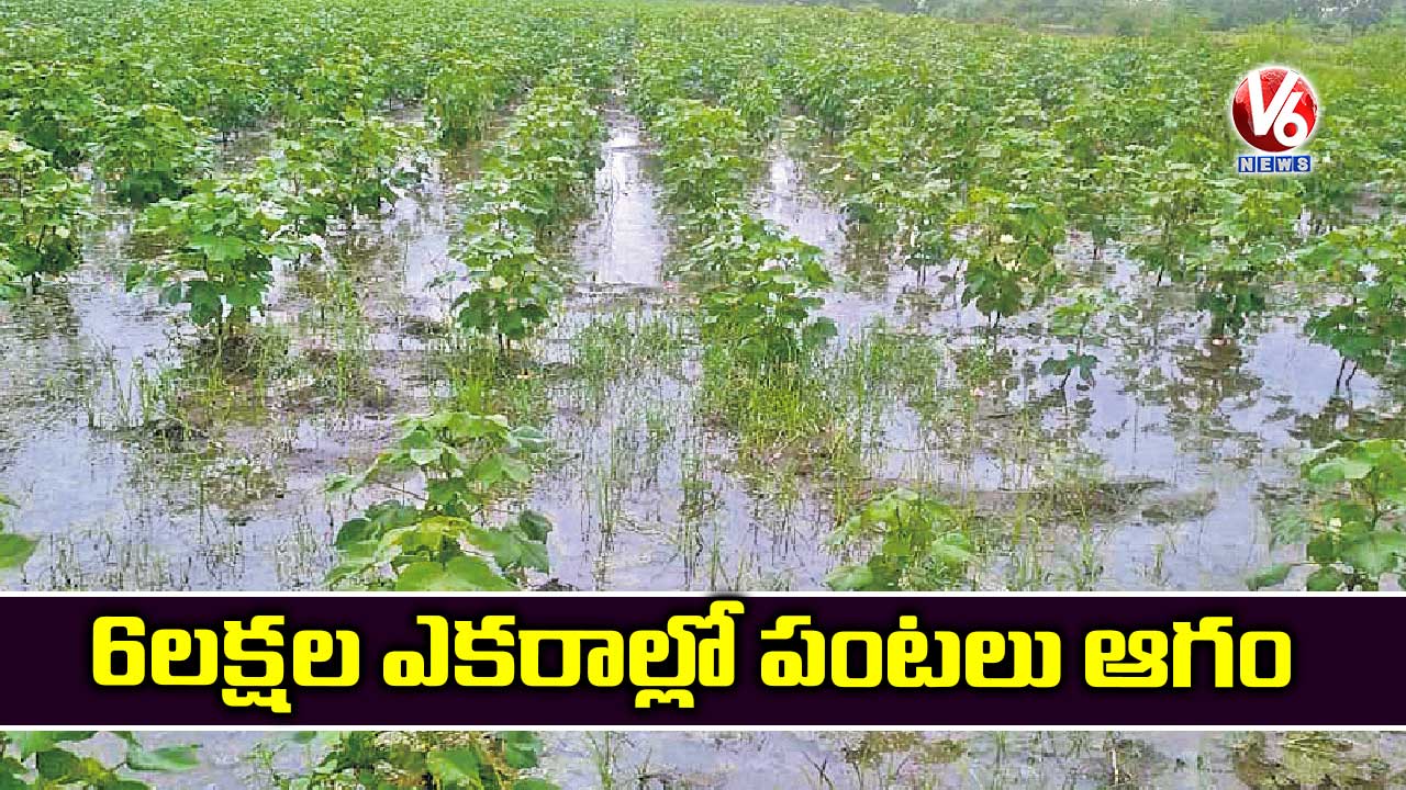 6 లక్షల ఎకరాల్లో పంటలు ఆగం