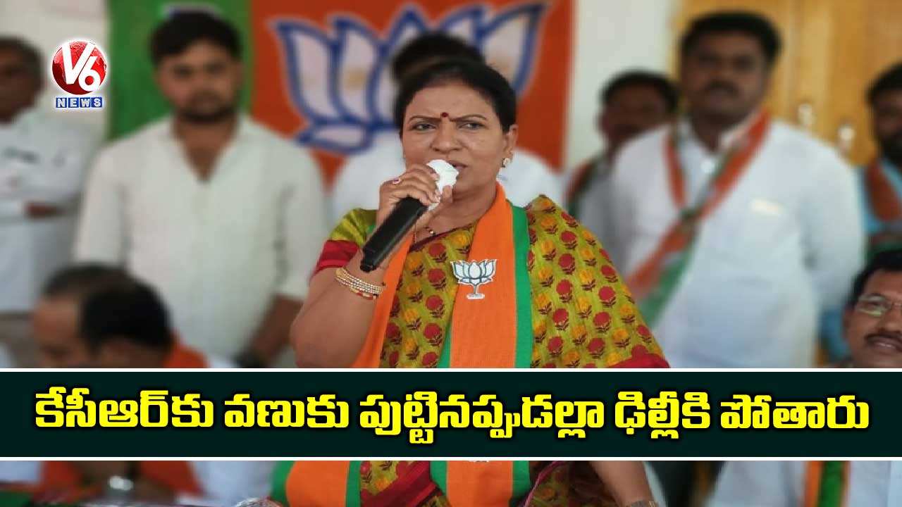 కేసీఆర్‌కు వణుకు పుట్టినప్పుడల్లా  ఢిల్లీకి పోతారు