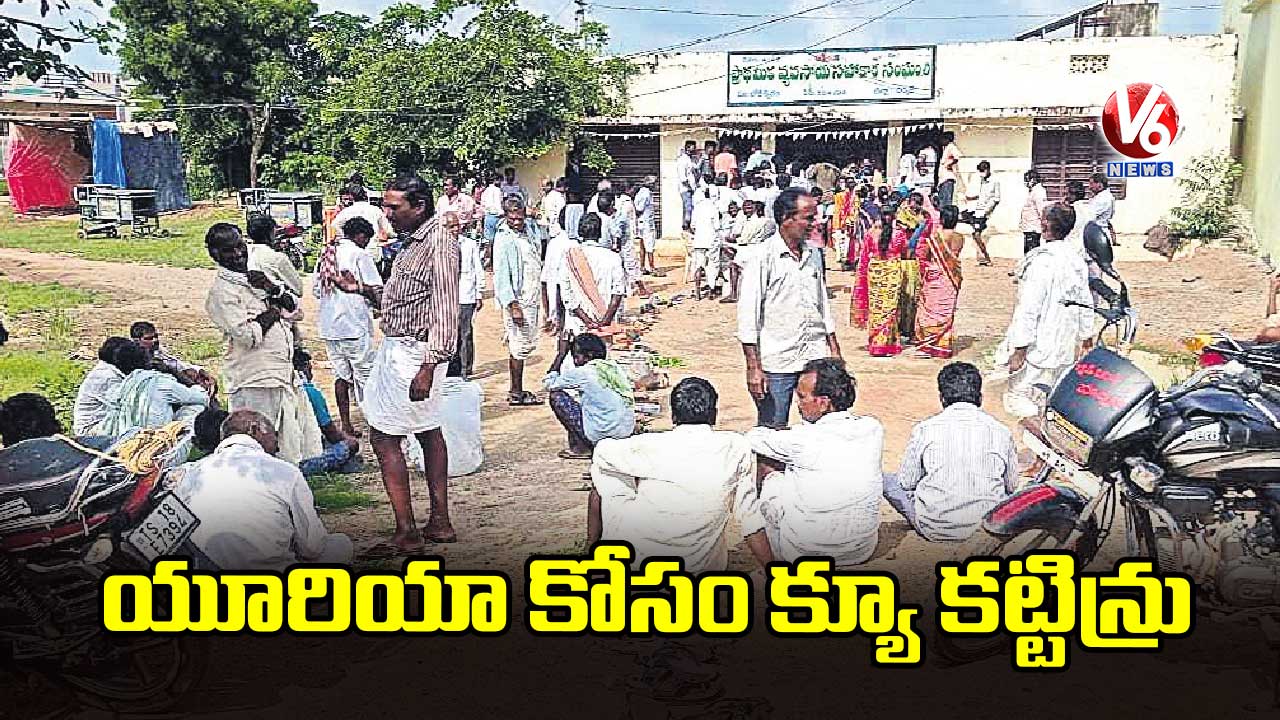 యూరియా కోసం క్యూ కట్టిన్రు