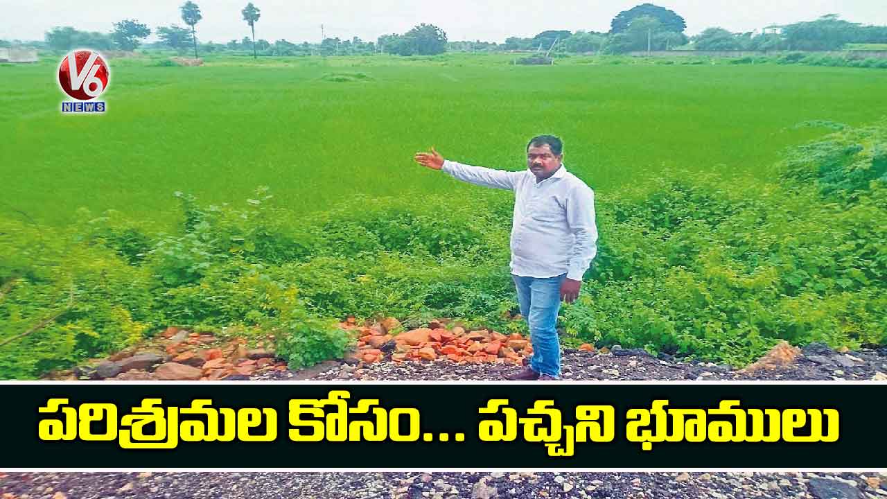 పరిశ్రమల కోసం... పచ్చని భూములు