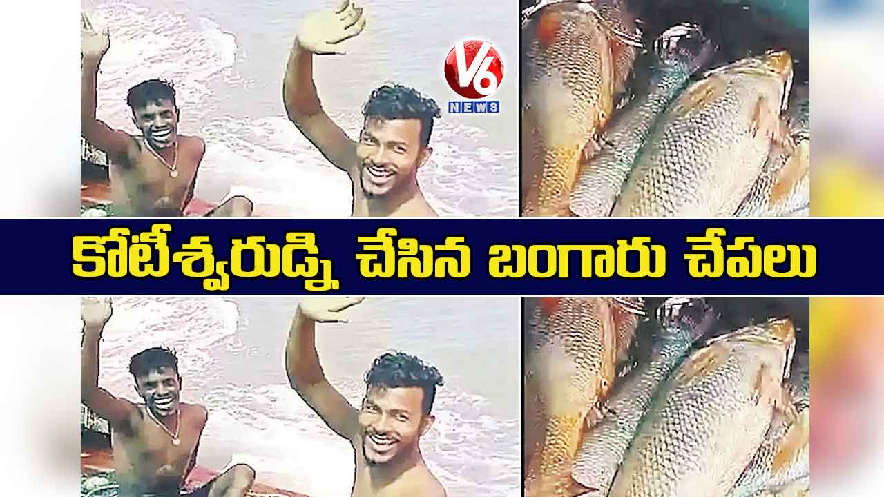 కోటీశ్వరుడ్ని చేసిన బంగారు చేపలు