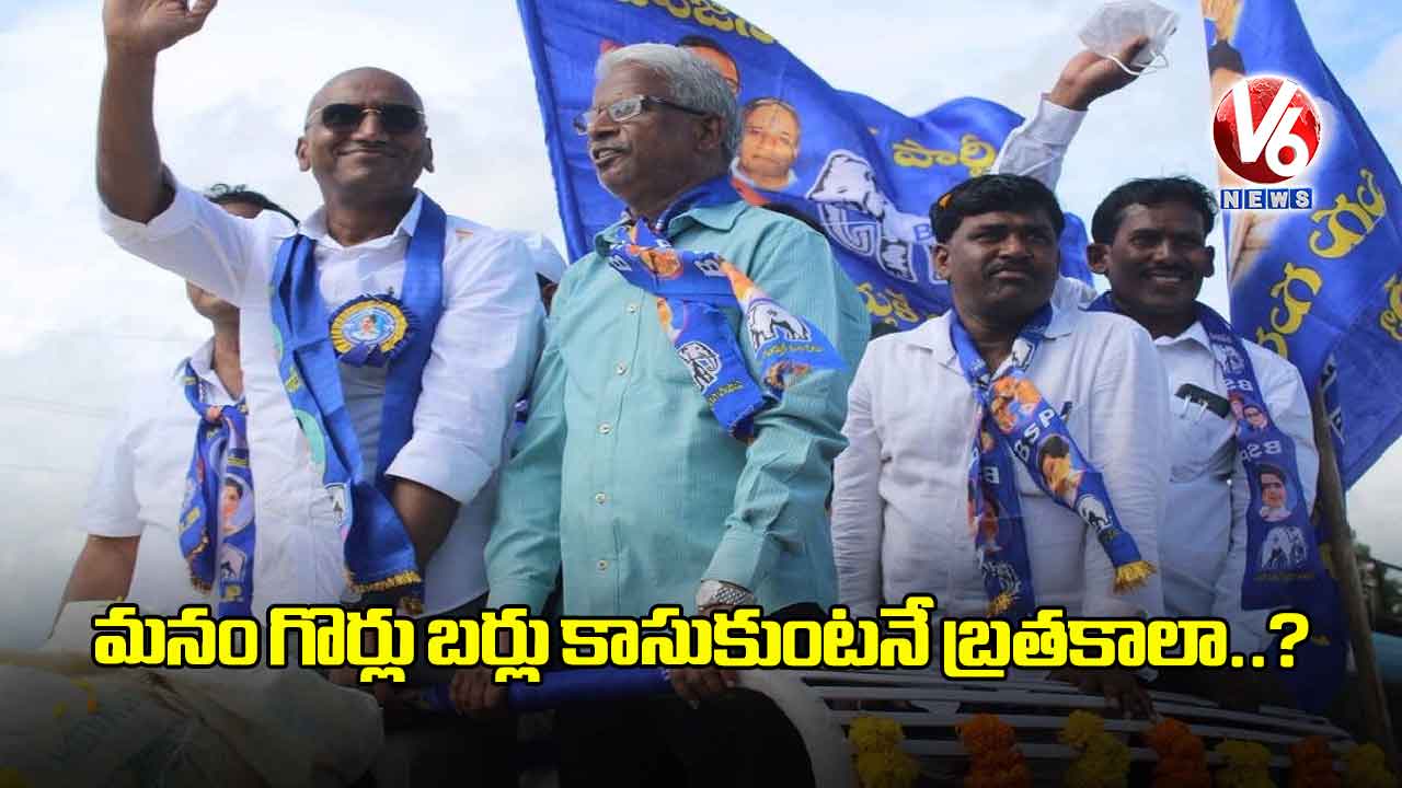 మనం గొర్లు బర్లు కాసుకుంటనే బ్రతకాలా ?