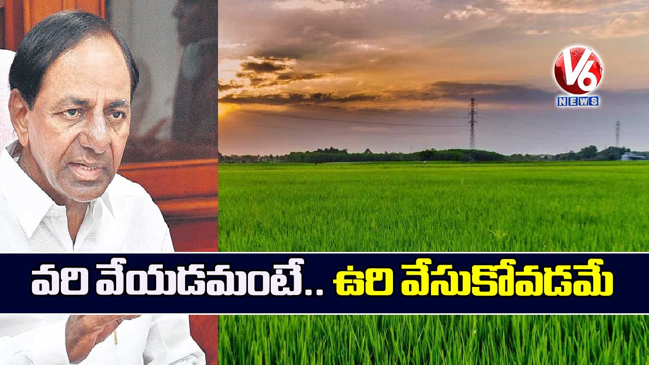 వరి వేయడమంటే.. ఉరి వేసుకోవడమే